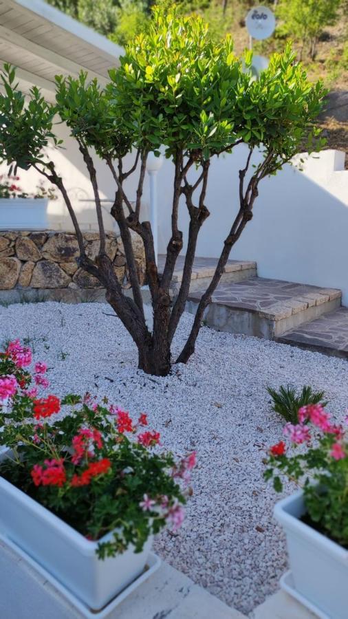 Casa L'Ulivariu Affittacamere San Teodoro  Exterior foto
