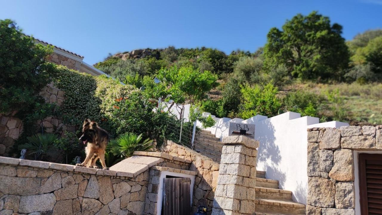 Casa L'Ulivariu Affittacamere San Teodoro  Exterior foto