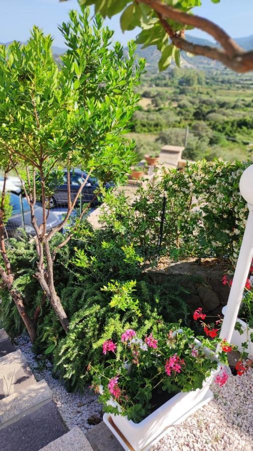 Casa L'Ulivariu Affittacamere San Teodoro  Exterior foto