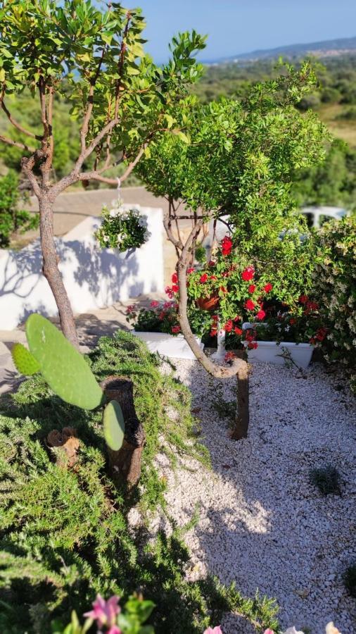 Casa L'Ulivariu Affittacamere San Teodoro  Exterior foto