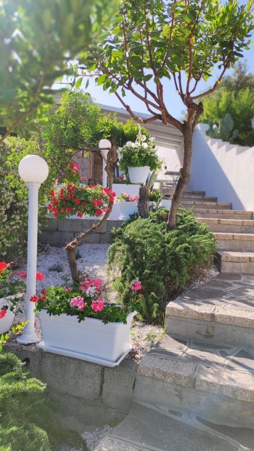 Casa L'Ulivariu Affittacamere San Teodoro  Exterior foto
